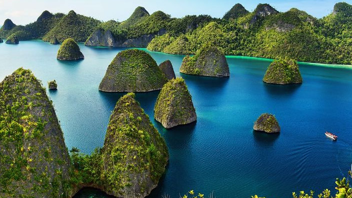 Presiden Diminta Tidak Saja Mencabut IUP Tambang Nikel di Raja Ampat, Tapi Wajib Lakukan Pemulihan
