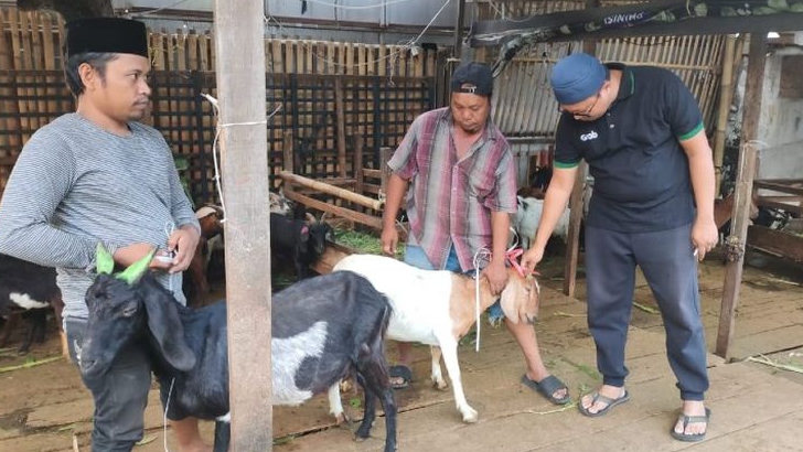 Peringati Iduladha 1444 H, Grab Indonesia Sumbang Sapi Kurban 1 Ton dan Ratusan Kambing