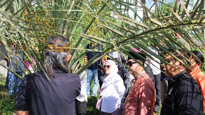 Kurma dan Sancha Inchi Tumbuh di Lombok Utara, DPD RI Apresiasi Inovasi BRIDA NTB