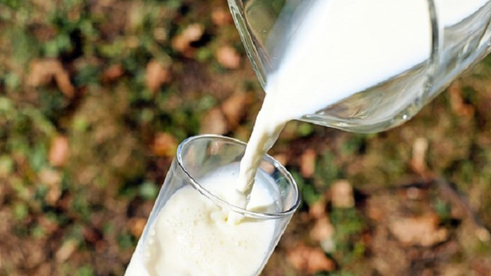 Kepala BGN Sebut Minum Susu 2 Liter Sehari Bikin Badan Tinggi, Dokter Spesialis Anak: Berlebihan Bisa Buat Obesitas