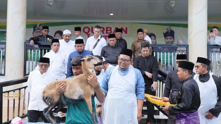 1.900 Ekor Domba Disembelih, PT Aliyah Rizq Agriculture Raih Rekor Asia Asean di Idul Adha 2026