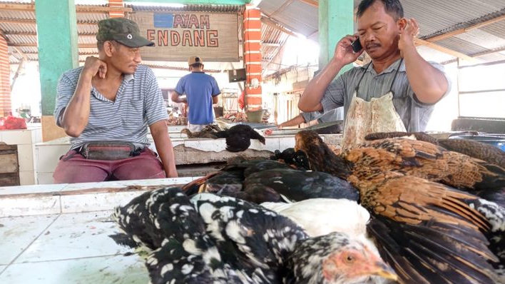 Harga Ayam Kampung Meningkat Tajam di Pasar Baru Karawang Menjelang Idul Adha