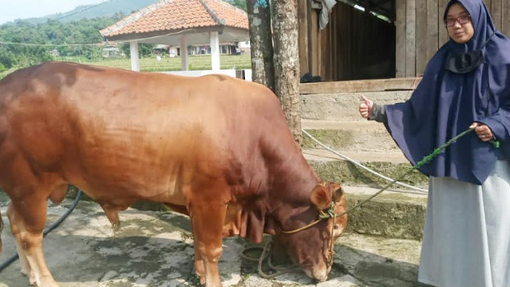 Inspirasi Usaha Pipit Farm, Sosok Perempuan Ini Bantu Petani Ternak Bertahan Lewat Penjualan Hewan Kurban