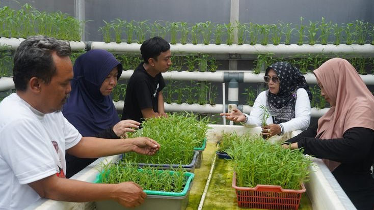 Bantu Renovasi Greenhouse di Pulogadung, OMG Dukung Inovasi Masyarakat Agar Hasilnya Menguntungkan