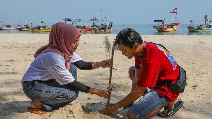 Orang Muda Ganjar Gelar Program Tanam Pohon Cemara Udang di Tuban