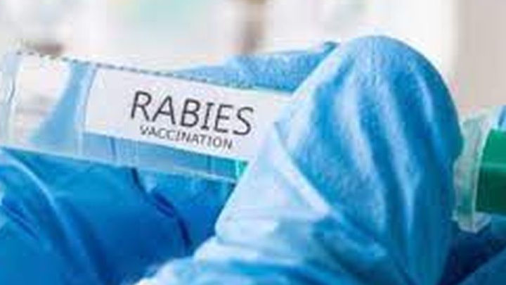 Nol Kasus Rabies, Pemda Provinsi Jabar Tetap Waspada