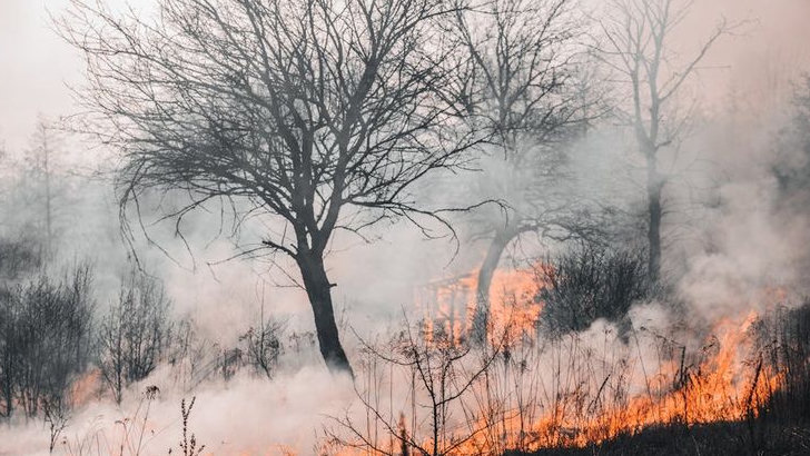 Waspada Karhutla 2025: Panduan Lengkap Pencegahan dan Mitigasi Bencana Saat Kemarau