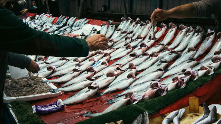 Harga Ikan Mahal di Negeri Maritim? Ini 7 Penyebab yang Jarang Disadari