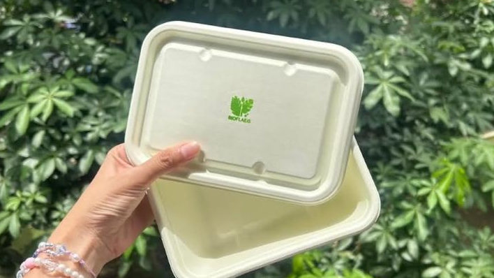 Mahasiswa USU Ciptakan BIOFLAEIS, Kemasan Makanan Ramah Lingkungan dari Pelepah Sawit dan Daun Pepaya
