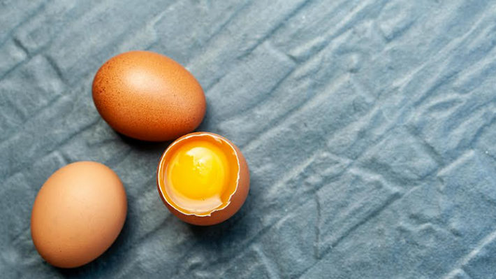 Telur Ayam Bisa Menetas atau Tidak? Begini Cara Mengetahui Ada Embrio di Dalamnya