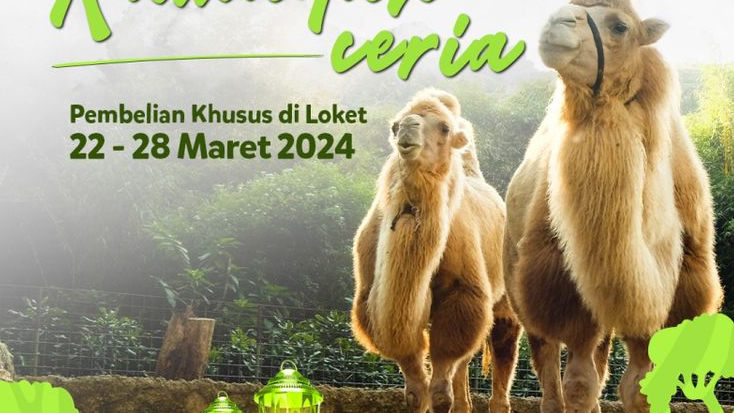Promo Ramadan Ceria di Taman Safari Bogor: Tiket Hanya Rp 250 Ribu + Buka Bersama Gratis!