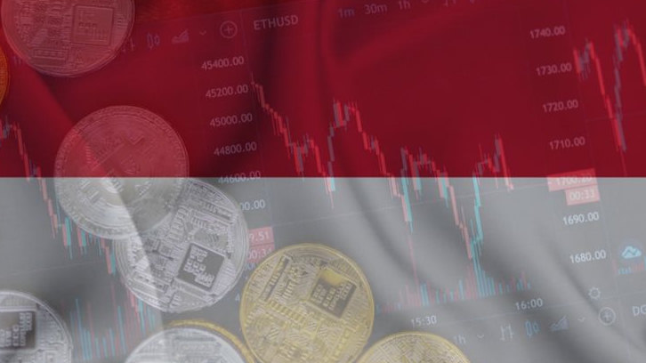Kabar Gembira, Pemerintah Indonesia Resmi Masukkan Tokoin dalam Daftar Baru 501 Aset Kripto Legal