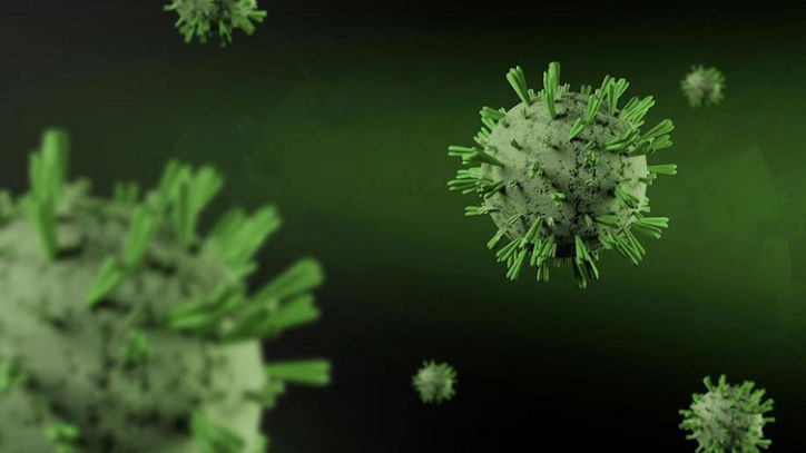 Hantavirus Disebut Berbahaya, Apakah Bisa Menjadi Pandemi Seperti Covid-19?