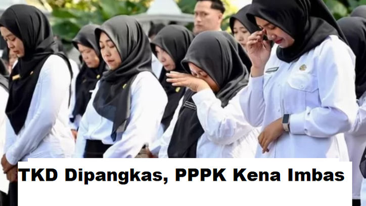 Pemangkasan TKD Bikin Daerah Ketar-Ketir, PPPK Terancam Kena Imbas, Begini Penjelasan Istana