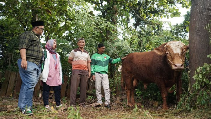 Momen Idul Adha 1444 H, Grab Indonesia Sumbang Sapi Kurban 1 Ton dan Ratusan Kambing