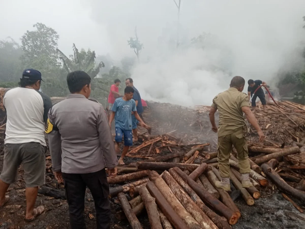 Kondisi gudang log kayj sengon usai terbakar. (Dok. PPID Jember)