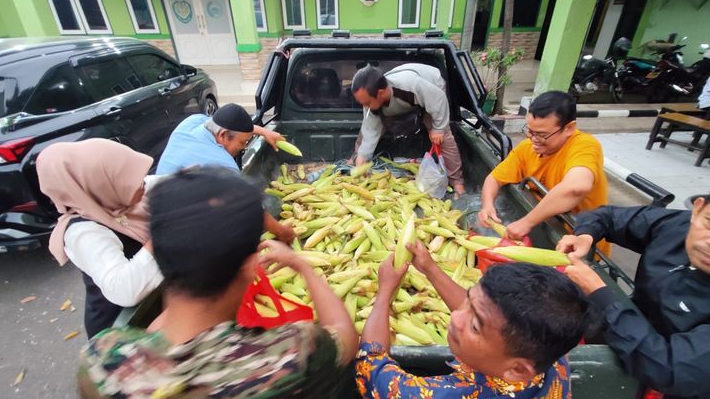 TNI Sulap Lahan Tidur Jadi Kebun Jagung di Karawang, Hasil Panen Dibagikan Gratis ke Warga
