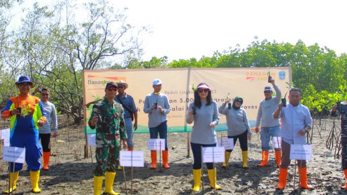 Trauma Tsunami Pangandaran pada 2006 Silam Sampai Puluhan Ribu Bibit Mangorove Ditanam oleh Bank Danamon