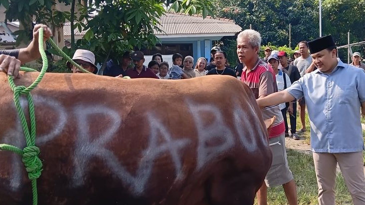 Warga Plawad Terharu, Sapi Kurban Bantuan Presiden Prabowo Langsung Dibagikan untuk Kaum Jompo