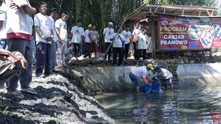 Nelayan Balad Ganjar Berikan Bibit Ikan Mujair Kepada Kelompok Pelaut di Pangandaran