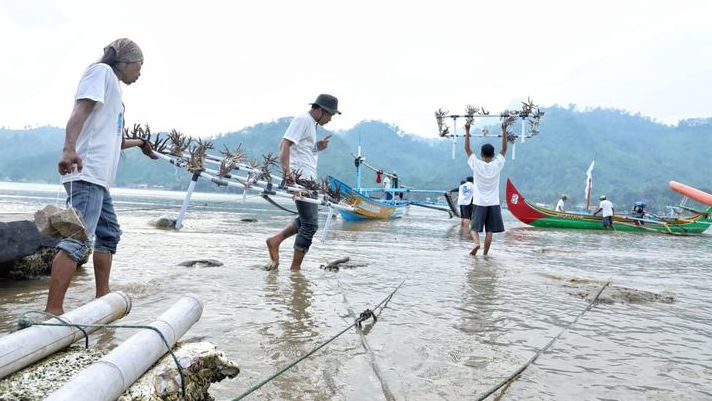 Sukarelawan Nelayan Ganjar Edukasi Ekosistem Terumbu Karang di Lampung