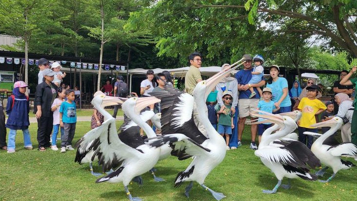 15 Tempat Wisata Tangsel Terbaik 2026 - Dari Aviary Park Indonesia hingga Taman Gratis yang Wajib Dikunjungi