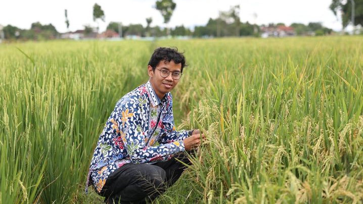 Presokazi, Inovasi Beras Kaya Zat Besi dan Zinc dari UGM untuk Keluarga Indonesia