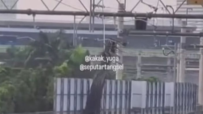 Crane Jatuh Timpa Rel MRT, Polisi Pastikan Tidak Ada Korban Jiwa