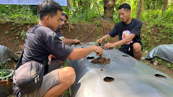 Ganjar Milenial Center Bersama Sejumlah Organisasi Ajak Warga Cara Budi Daya Cabai di Lahan Kosong