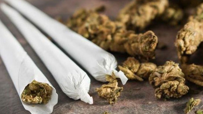 Kedapatan Budidaya Ganja, PNS di Bandung Ditangkap Polisi