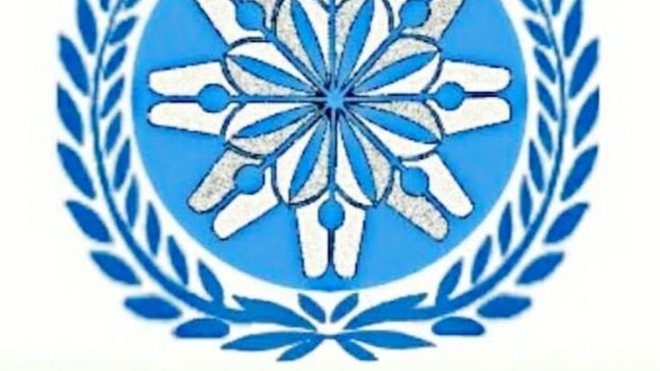 Majelis Pers Desak Kajian Ulang UU Pers, Sebut Banyak Jurnalis Dikriminalisasi