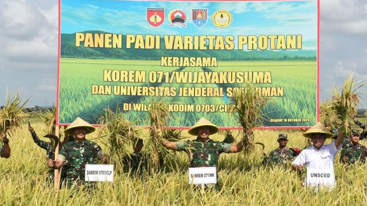 PROTANI, Inovasi Padi Unggul dari Unsoed yang Bikin Petani Panen Melimpah