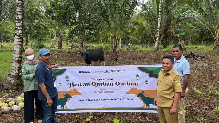 ANTAM Salurkan Ratusan Hewan Kurban untuk Masyarakat di Berbagai Wilayah Operasional