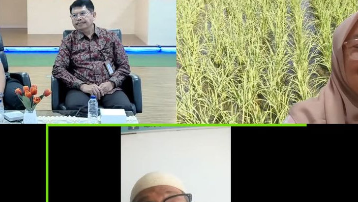 Tingkatkan Produktivitas dan Keuntungan Berkelanjutan, Kementan Dorong Penyuluh Adopsi Inovasi Budidaya Padi