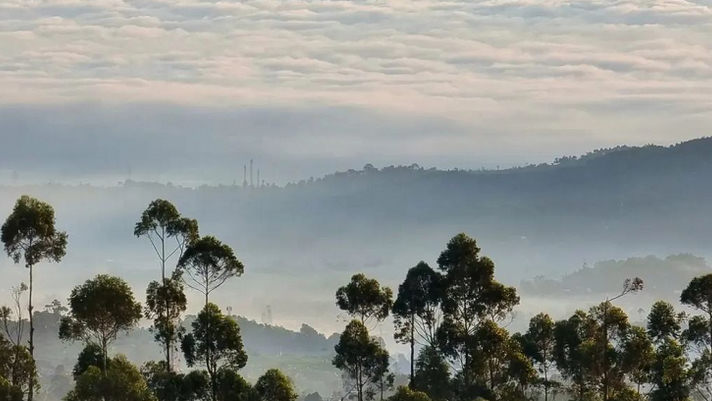 Deretan Kota dengan Suhu Terdingin di Indonesia, Ada yang Mencapai 9 Derajat Celcius