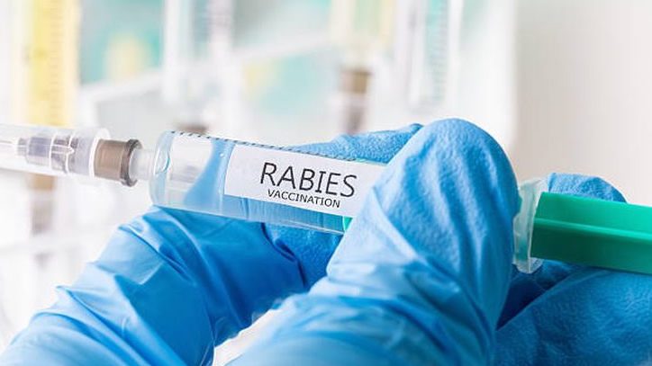 Antisipasi Penyakit Hewan Penular Rabies, Peprov Sumut Himbau Pemkab/Pemko Lakukan Vaksinasi Pada Hewan Peliharaan Warga