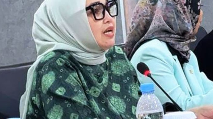 Tiga Isu Panas dari DPD RI: Eva Susanti Desak Kemenhub Tuntaskan Infrastruktur dan Keselamatan Transportasi di Sumsel