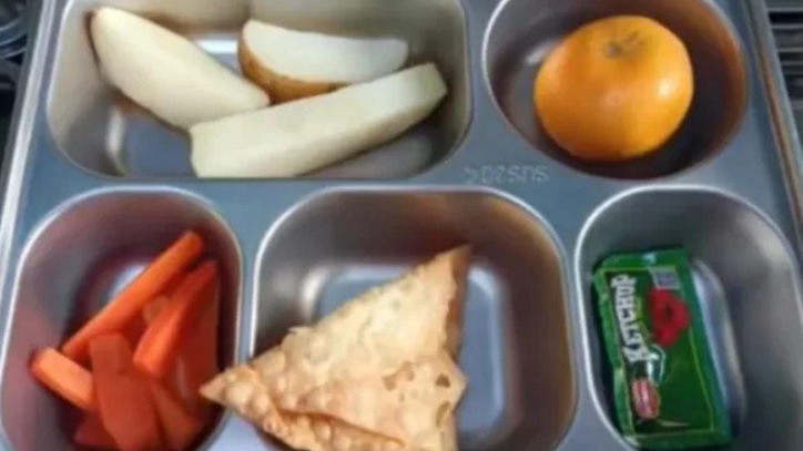 Viral Menu MBG di Depok Isi Kentang Rebus Hingga Pangsit Goreng Kosong, Kepala Sekolah: Sudah Seminggu...