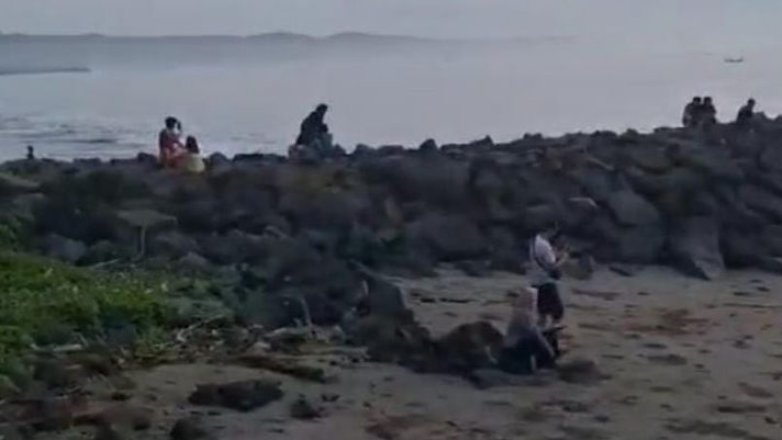 Pangandaran Diguncang Gempa Berkekuatan M 5,5  Begini Kondisinya Sekarang