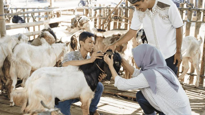 Jangan Sampai Salah! Inilah 6 Ciri Hewan Qurban yang Tidak Sah Menurut Islam