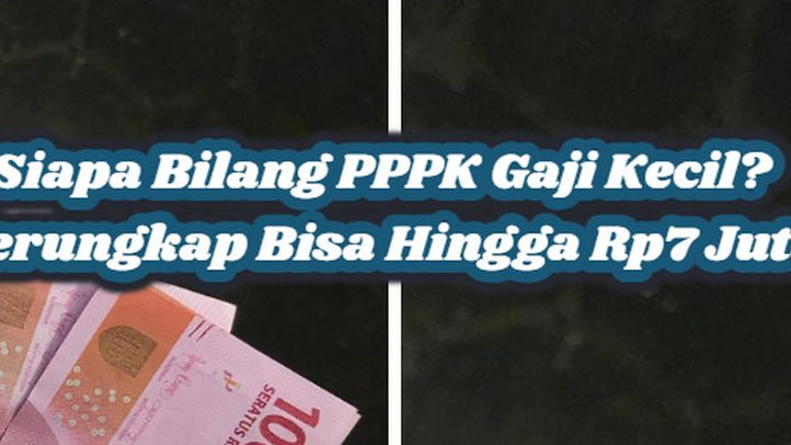 Gaji PPPK Tertinggi Tembus Rp7,3 Juta, Sementara Golongan Lain Jauh Tertinggal? Ini Bocoran Persetujuan Menkeu!