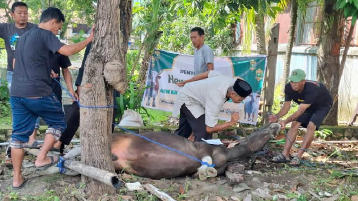 Kapan Penyembelihan Hewan Kurban Iduladha 2026? Ini Jadwal Lengkap Menurut Pemerintah dan Muhammadiyah