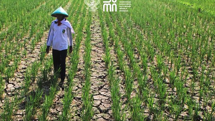 BPI Danantara Pastikan Operasional Agrinas Pangan Aman Pasca Mundurnya Joao Mota, Apa Sebenarnya Peran BUMN Ini?