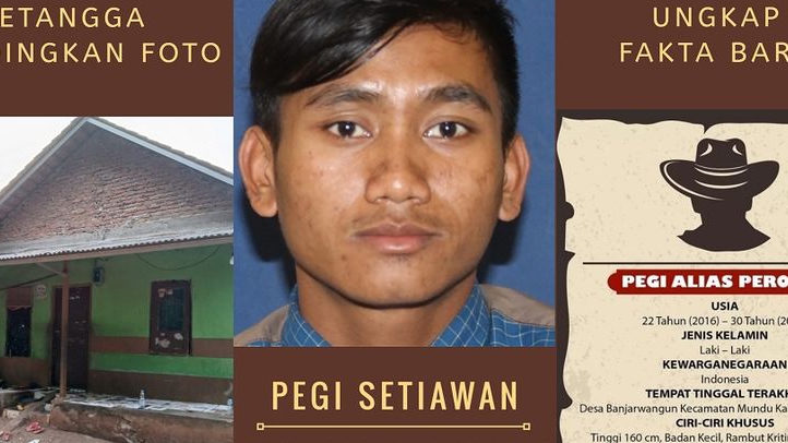 Alasan Polda Jabar Pelaku Pembunuhan Vina Berkurang jadi 9 Orang dan DPO jadi 1 orang, Pegi alias Perong